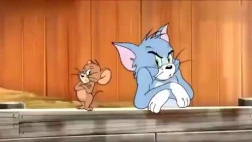 猫和老鼠天官爆料视频  第2张