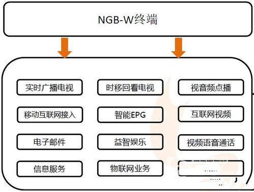 保险拒赔爆料流程视频播放,视频曝光爆料流程全解析  第3张